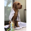 image:imageCalifornia Fur Baby Calming Puppy and Dog Conditioner PlantBased  USDA Biobased  Leave in or Rinse Out Moisturizing Conditioner for Dogs and Puppies  10 Oz EasySqueeze Bottle